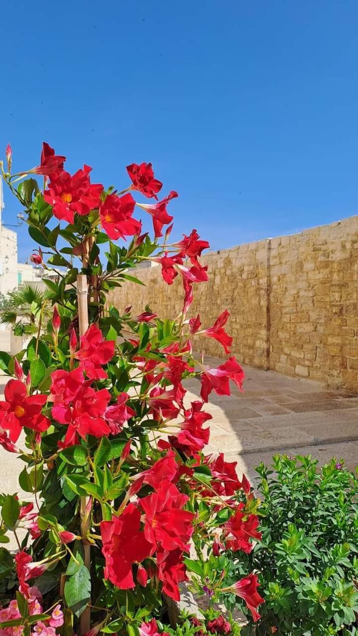 H2O Giovinazzo Vila Exterior foto
